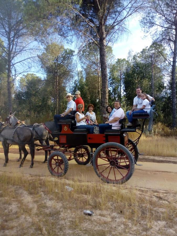 Cortijo Los Conquistadores Lucena Del Puerto Bagian luar foto